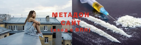 индика Алексин