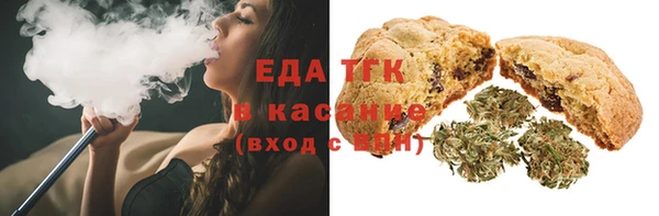 индика Алексин