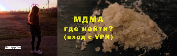 индика Алексин