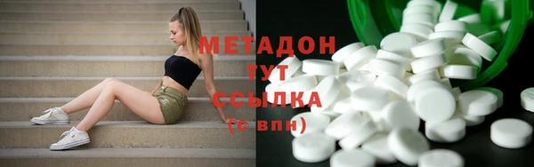индика Алексин