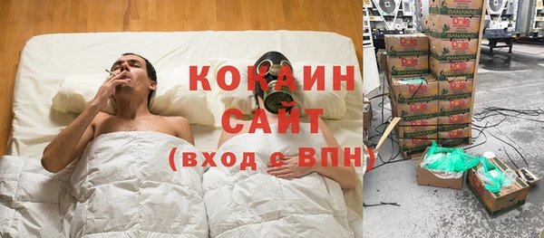 индика Алексин