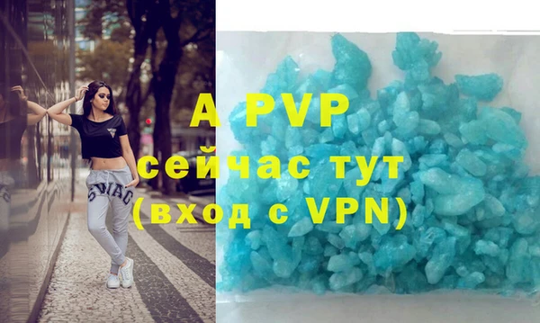 индика Алексин