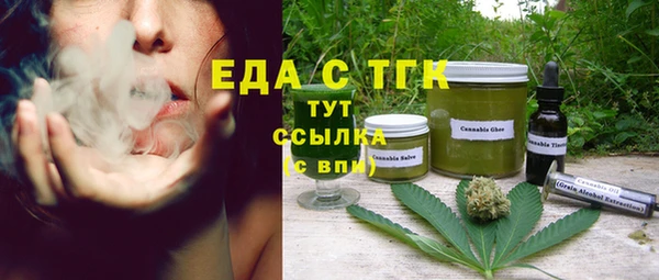 индика Алексин