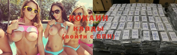 индика Алексин