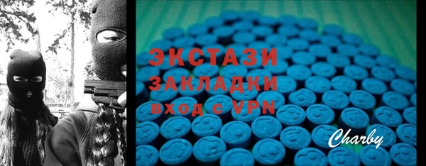 индика Алексин