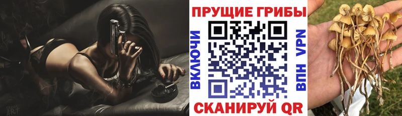 даркнет какой сайт  ОМГ ОМГ зеркало  Любань  Псилоцибиновые грибы MAGIC MUSHROOMS 